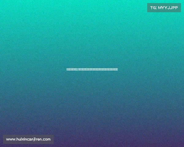 林丹赛事新西兰;林丹新西兰羽毛球赛事巅峰对决精彩纷呈万众瞩目盛况空前